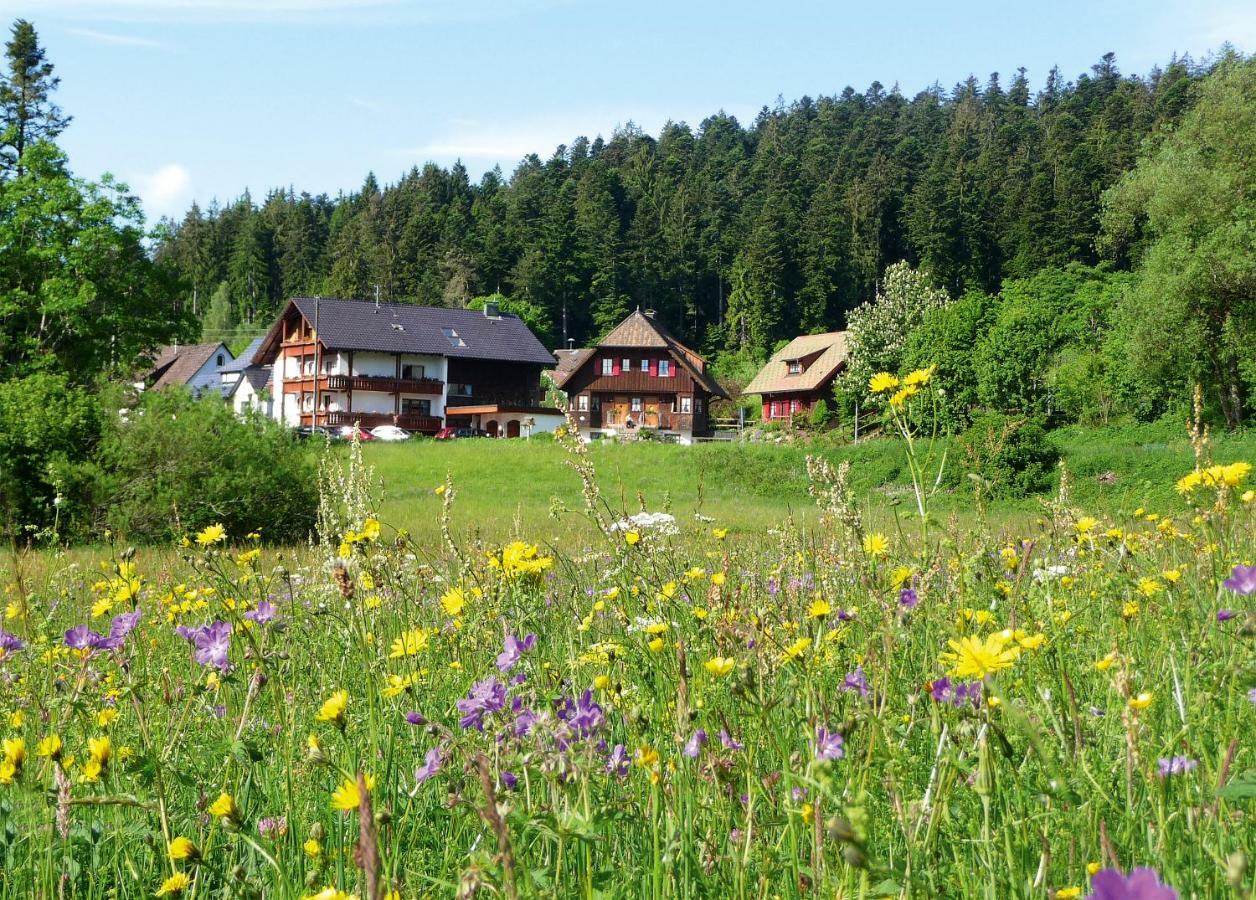 Landhaus Anja Freudenstadt Exterior foto